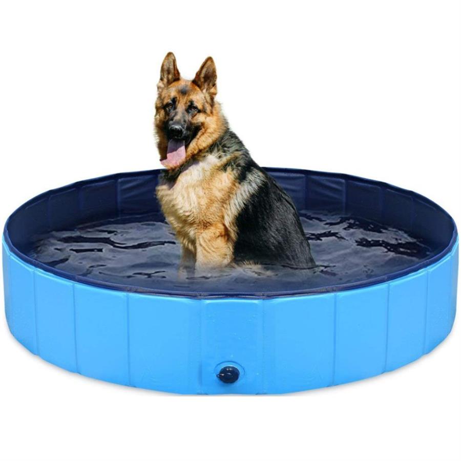 Pileta Para Mascotas Redonda Deutech -Diametro 160Cm Alto 30Cm